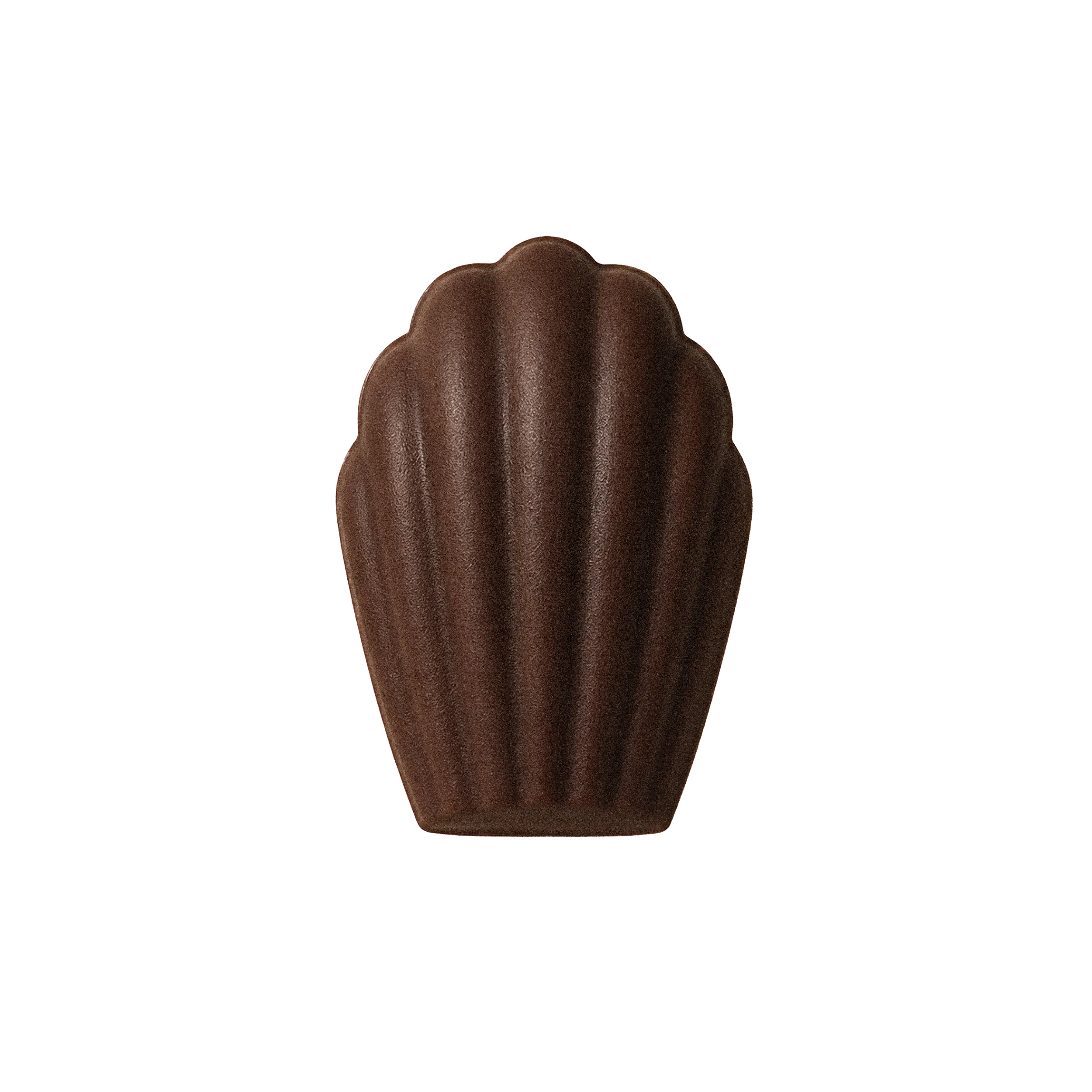 Madeleine enrobée de chocolat noir