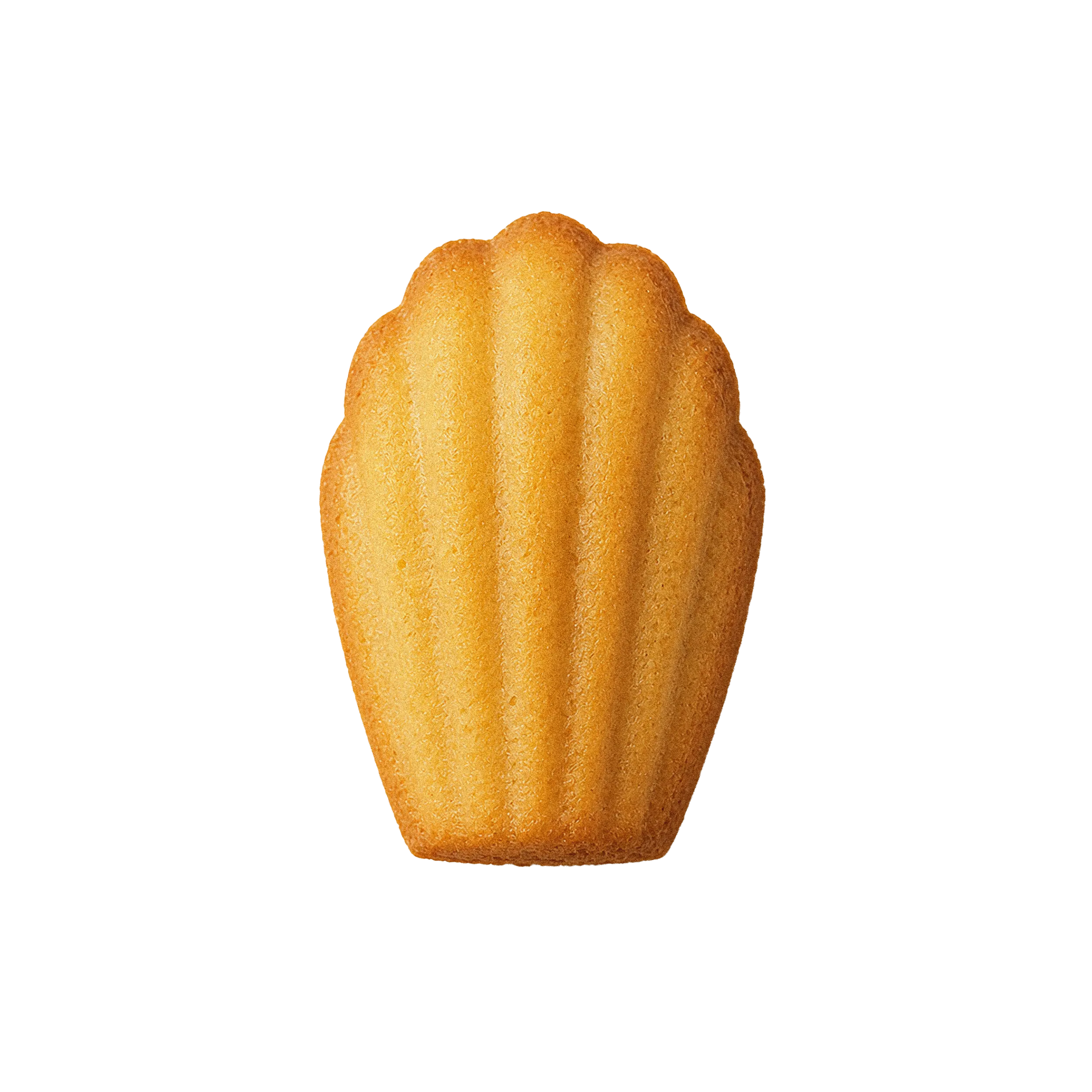 Madeleine à la vanille